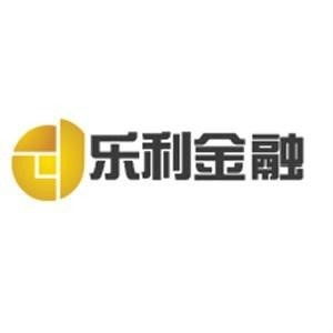 合肥樂利金融信息咨詢服務 賦能企業與個人的金融決策